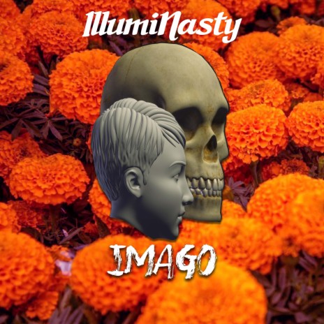 Imago