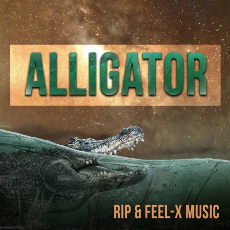 ALLIGATOR ft. Feel-X Music | Boomplay Music