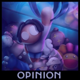 Opinion