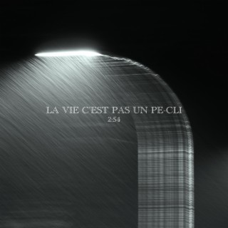 LA VIE C'EST PAS UN PE-CLI