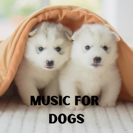 Chill My Dog ft. Music For Dogs Peace, Relaxing Puppy Music & Calm Pets Music Academy | Boomplay Music