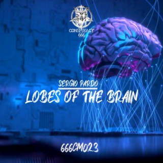 Lobes Of The Brain
