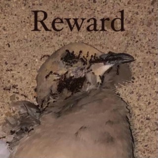 Reward