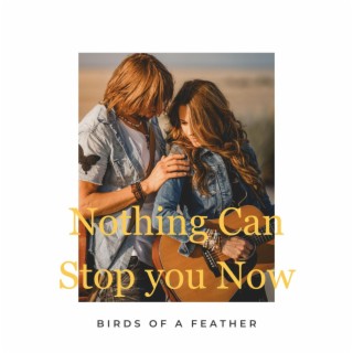 Nothing Can Stop You Now lyrics | Boomplay Music