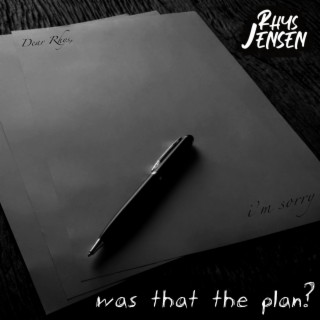 was that the plan?