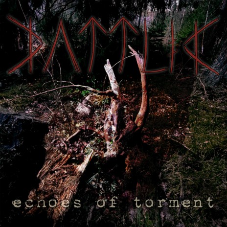 Echoes of Torment | Boomplay Music