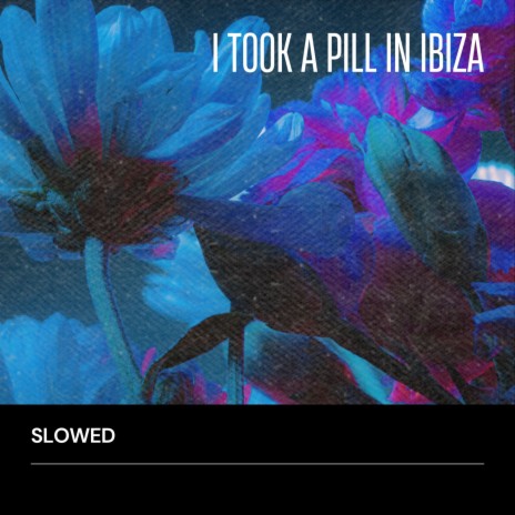 I Took a Pill in Ibiza - Slowed