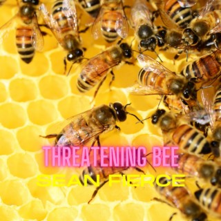 Threatening Bee