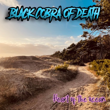 Heart of the ocean | Boomplay Music
