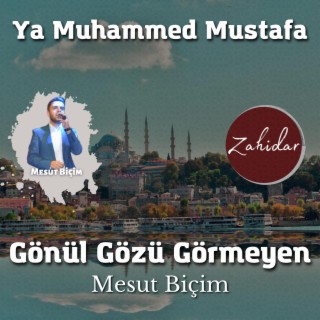 Gönül Gözü Görmeyen - Ya Muhammed Mustafa (s.a.v) lyrics | Boomplay Music