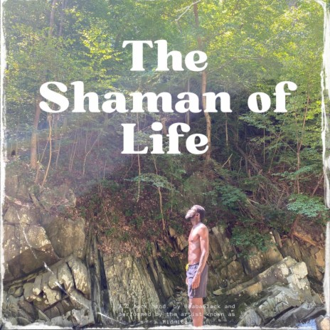 The Shaman of Life (snippet)