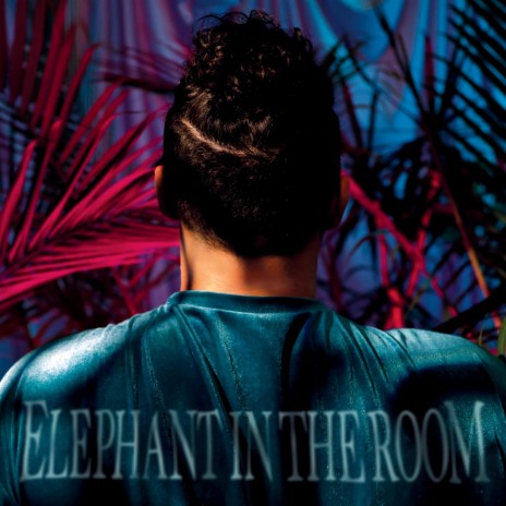 ELEPHANT IN THE ROOM (Radio Edit) ft. Alani iLongwe as Dr. Marvelous