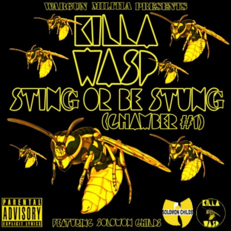 Streetsweeperz, Pt. 2 ft. Killa Wasp | Boomplay Music