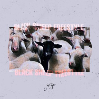 BLACK SHEEP FREESTYLE