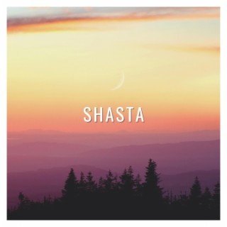 Shasta