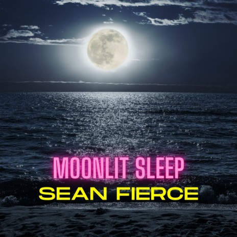 Moonlit Sleep | Boomplay Music