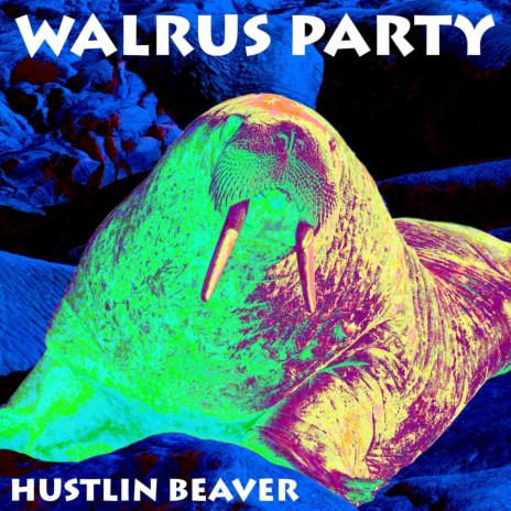 Walrus Party | Boomplay Music