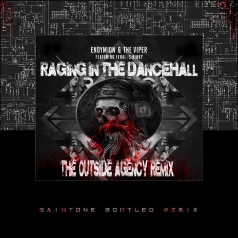 Raging In The Dancehall | Boomplay Music