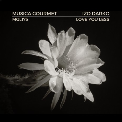 Love You Less (Radio Edit)