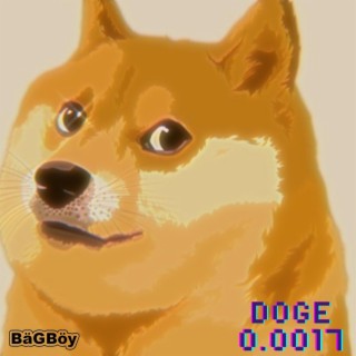 Doge(0.0017)