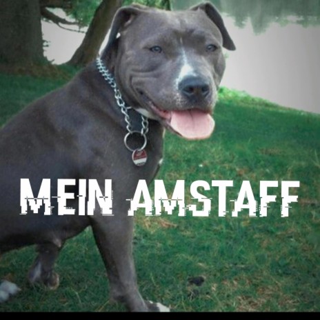 Mein Amstaff | Boomplay Music