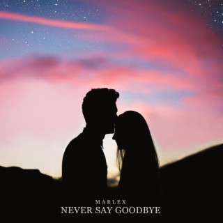 Never Say Goodbye