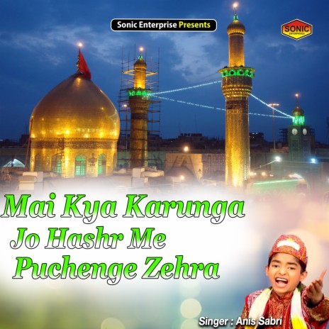 Mai Kya Karunga Jo Hashr Me Puchenge Zehra (Islamic) | Boomplay Music