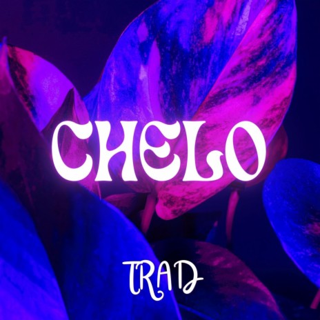 Chelo | Boomplay Music