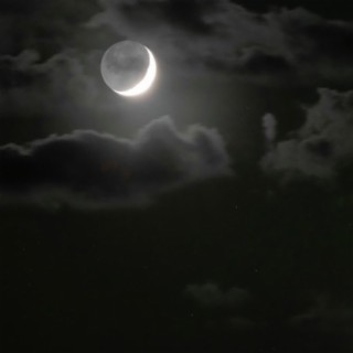 Moonlight (Deluxe)