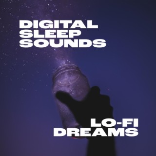 Lo-Fi Dreams (feat. Adam Stoner)