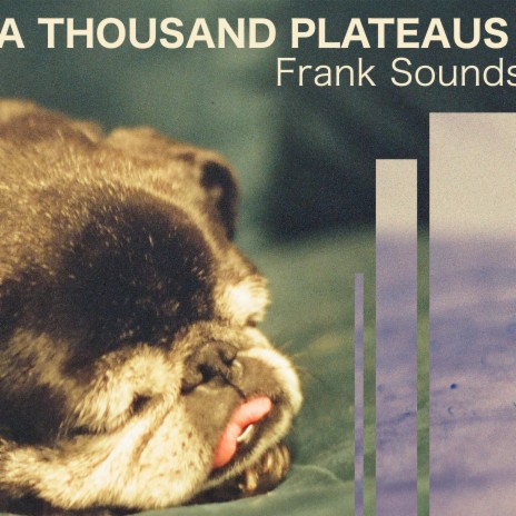 Frank Sounds