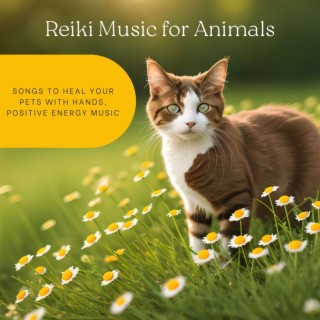 Reiki Music for Animals: Songs to Heal Your Pets with Hands, Positive Energy Music