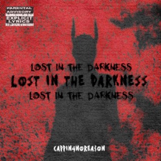 Lost In The Darkness