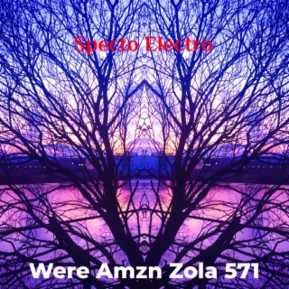 Were Amzn Zola 571