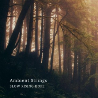 Ambient Strings