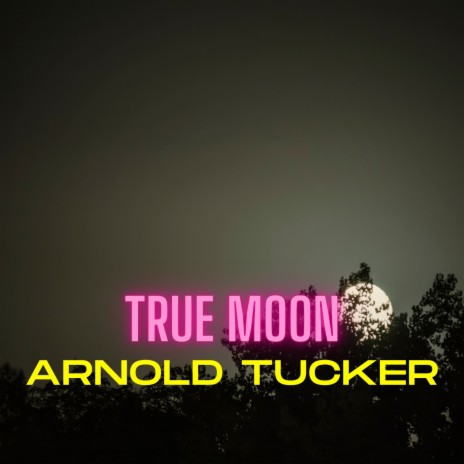 True Moon | Boomplay Music