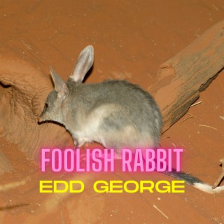 Foolish Rabbit