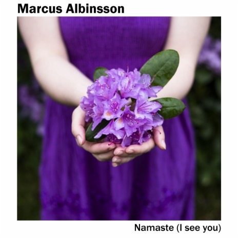 Namaste (I See You) | Boomplay Music