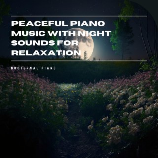 Peaceful Piano Music with Night Sounds for Relaxation