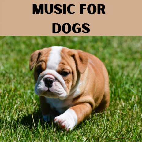 Calm Tranquility ft. Music For Dogs Peace, Relaxing Puppy Music & Calm Pets Music Academy | Boomplay Music