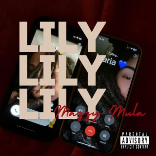 Lily lyrics | Boomplay Music