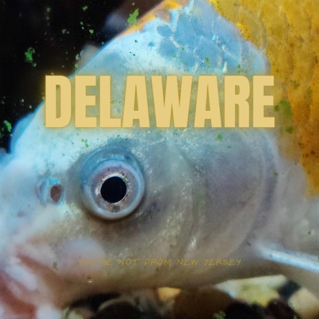 Delaware | Boomplay Music