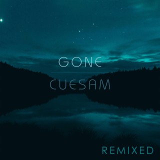 Gone (Goodnight Moon Remix)