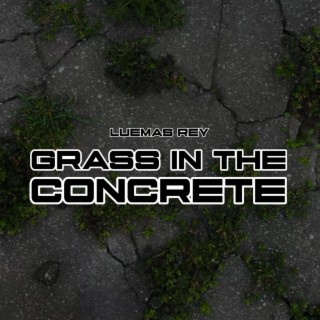 Grass In The Concrete