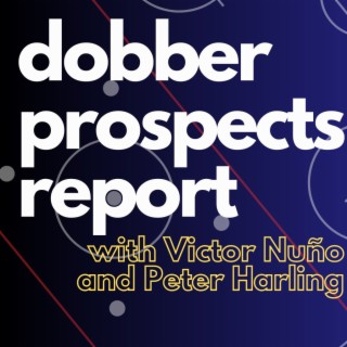 Report 6:DobberProspects Organizational Rankings 32-22