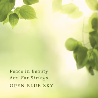 Peace In Beauty Arr. For Strings