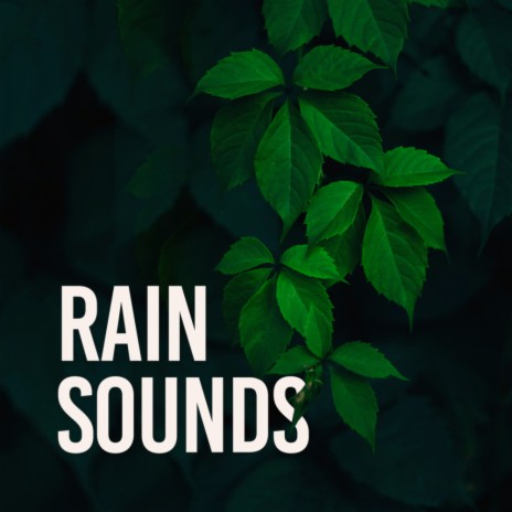 Heavy Thunder & Hard Rain | Boomplay Music