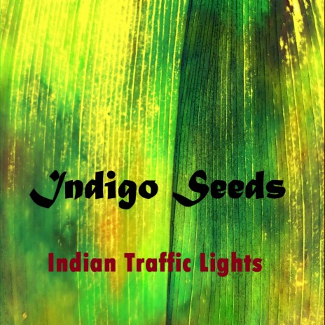 Indian Traffic Lights