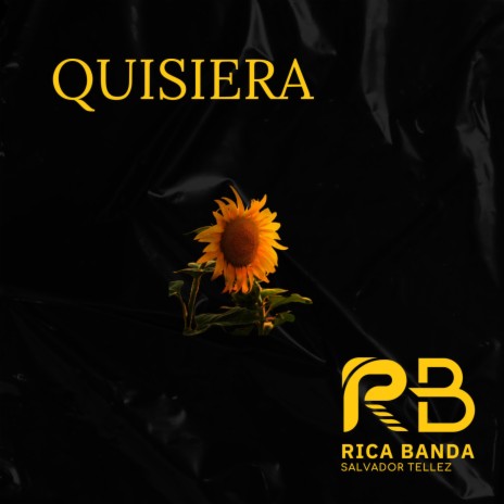 QUISIERA | Boomplay Music