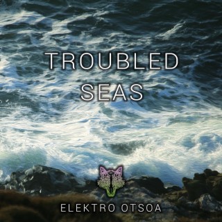 Troubled Seas